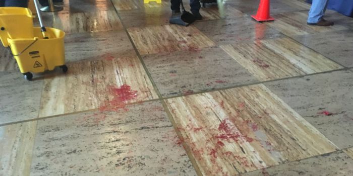 I2PEWBLW4JAANLNZEN6JDYIK2Q